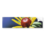Black Eyed Susan Bumper Sticker
