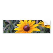 Black-Eyed Susan Bumper Sticker
