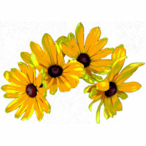 Black-eyed Susan Christmas Hanging Acrylic