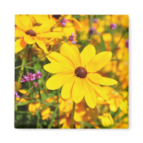 Black Eyed Susan Daisy Yellow Flowers Magnet magnets