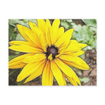 Black Eyed Susan - Gloriosa Daisy Postcard