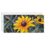 Black-Eyed Susan Photo Bookmark