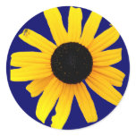 Black-Eyed Susan Sticker