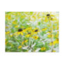 Black Eyed Susans in the Summer Meadow Postcards