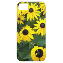 Black-eyed Susans iPhone 5 Cases