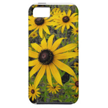 Black Eyed Susans iPhone 5 Cover