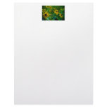 Black-Eyed Susans Personalized Letterhead