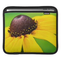 black eyed witness ipad sleeves