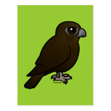 Black Falcon Post Card