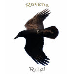 BLACK FLYING RAVEN Shirt