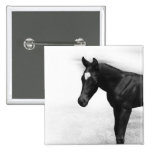 Black Foal Button