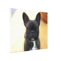 Black French Bulldog art canvas print