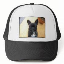 Black French Bulldog art cap Mesh Hats