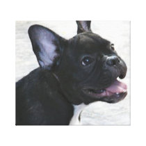 Black French Bulldog canvas art print