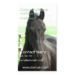 Black Friesian Horse Business Card