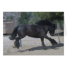 Black Gypsy Greeting Card