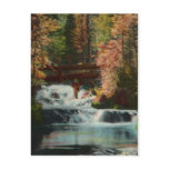 Black Hills Fisherman Vintage Postcard