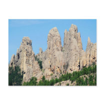 Black Hills, South Dakota Post Card