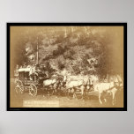Black Hills, Treasure Coach SD 1887 posters