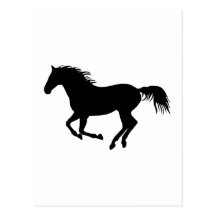 Black horse 1 post card