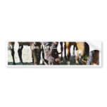 Black Horse bumper stickers