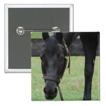 Black Horse Button