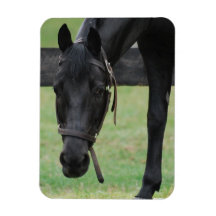 Black Horse Flexible Magnet