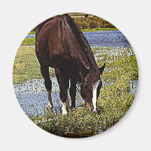 Black Horse Magnets