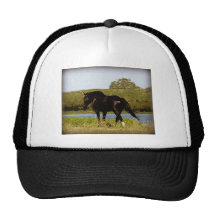 Black Horse Mesh Hats
