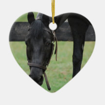 Black Horse Ornament