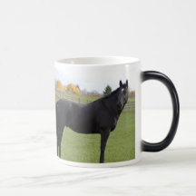 Black Horse Photo Mug