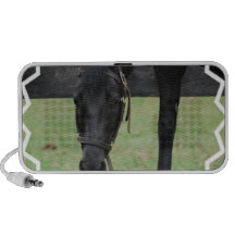 Black Horse Speakers