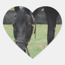 Black Horse Stickers