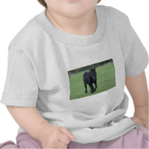 Black Horse Tee Shirt