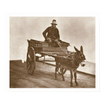 Black Jack, from 'Street Life in London', 1877-78 posters