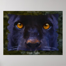 BLACK JAGUAR ~ BLACK PANTHER larger Art Print