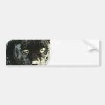 Black Jaguar Panther Bumper Stickers