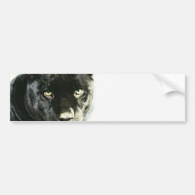 Black Jaguar Panther Bumper Stickers
