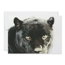 Black Jaguar Panther Eyes Invitation