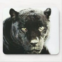 Black Jaguar Panther Mousepads