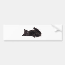 black kitten adhésif pour voiture