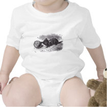 Black Kitten t-shirts