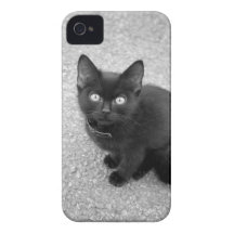 Black Kitten iPhone 4 Case
