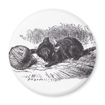 Black Kitten magnets