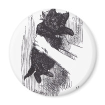 Black Kitten magnets