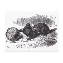 Black Kitten postcards