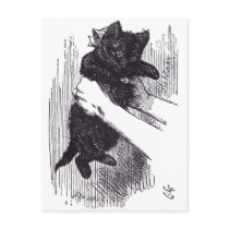 Black Kitten postcards