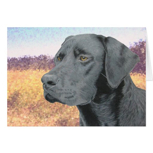 Black Lab Cards