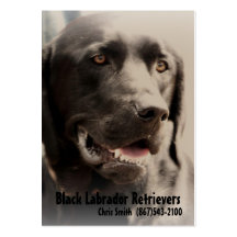 Black Lab Dog Breeder Business Card