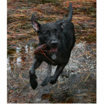 Black Lab Dog with Pinecone running Acrylic Cut Out